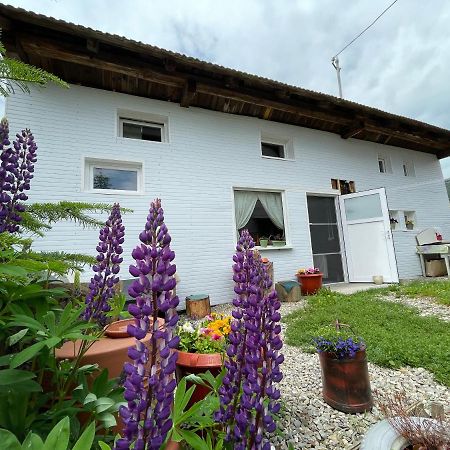 Casa De Oaspeti Cristina Fitod Extérieur photo