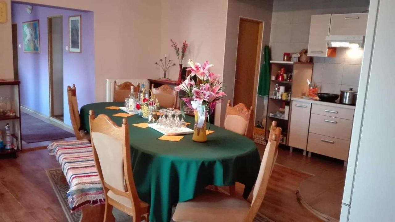 Casa De Oaspeti Cristina Fitod Extérieur photo