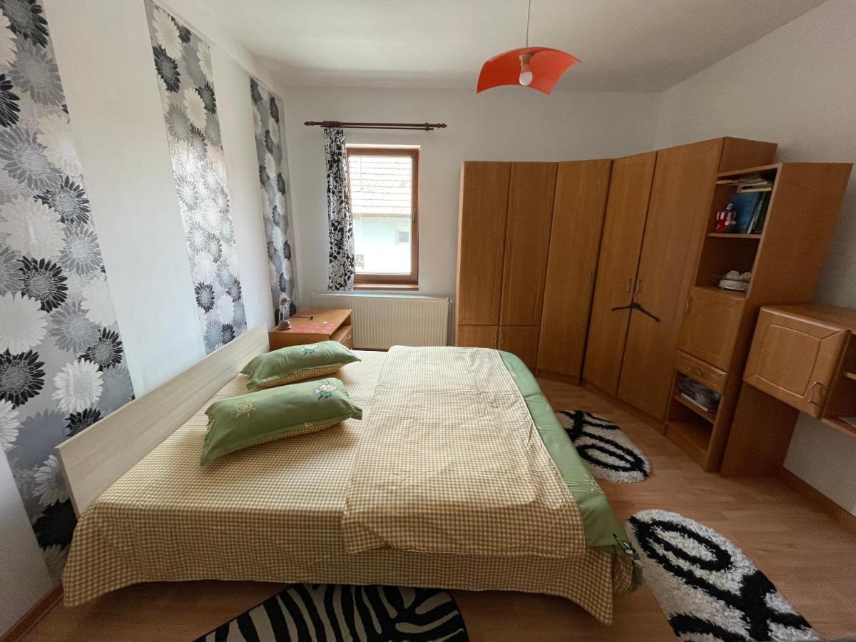 Casa De Oaspeti Cristina Fitod Extérieur photo