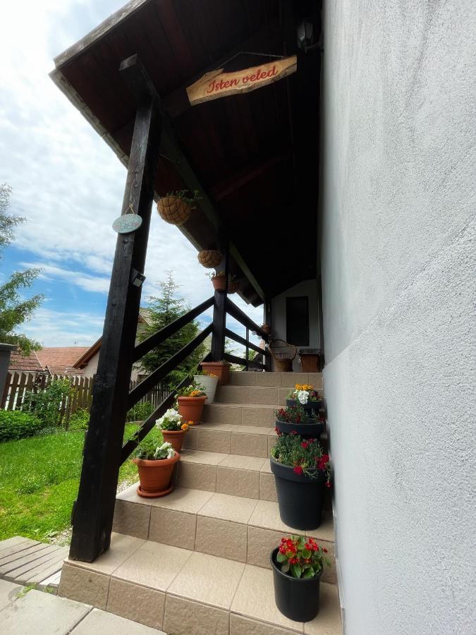 Casa De Oaspeti Cristina Fitod Extérieur photo