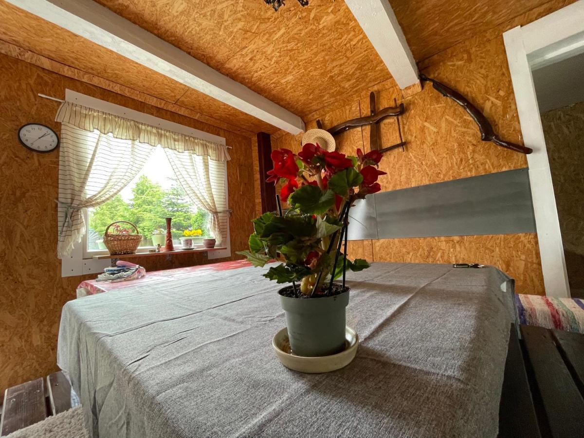Casa De Oaspeti Cristina Fitod Extérieur photo