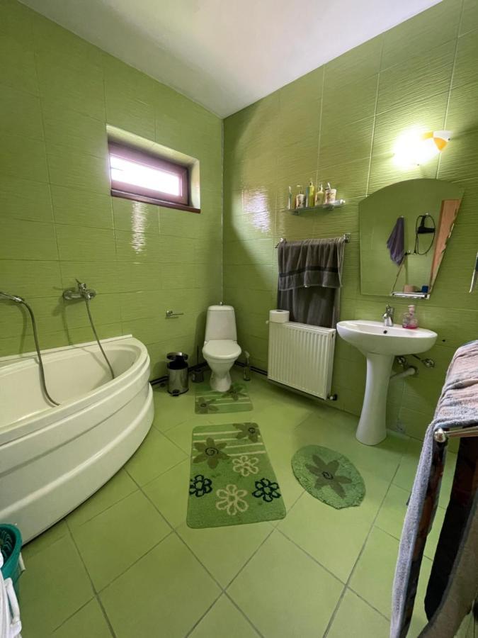 Casa De Oaspeti Cristina Fitod Extérieur photo